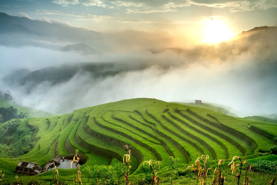 Kho gạo của Lương Thị Nhân